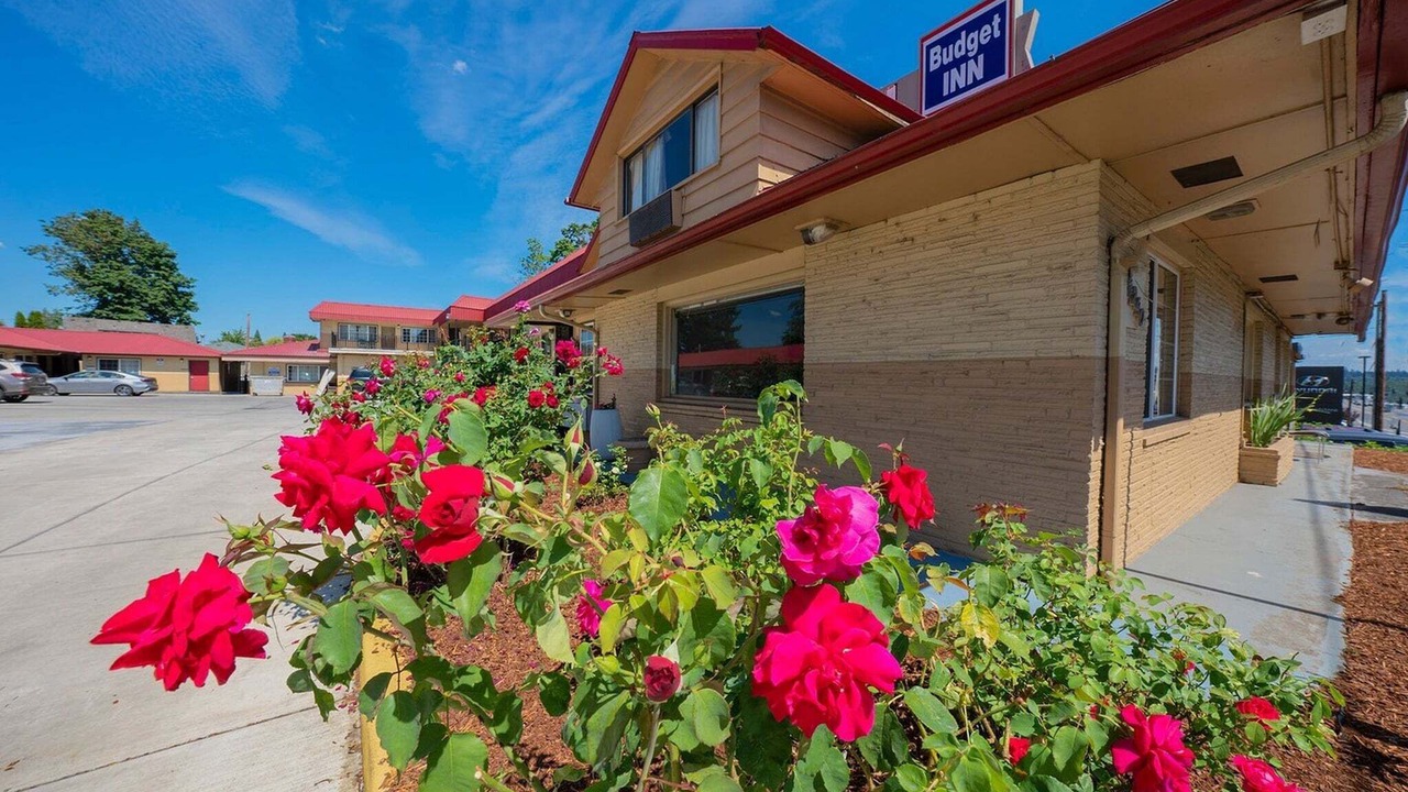 Photo of Outdoor in Gladstone