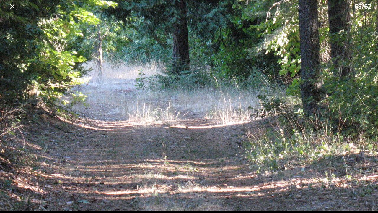 Photo of Others in Nevada City