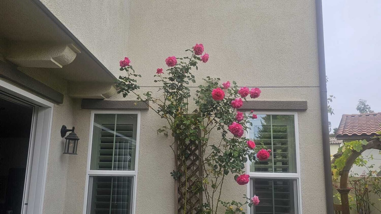 Photo of Outdoor in Aviara