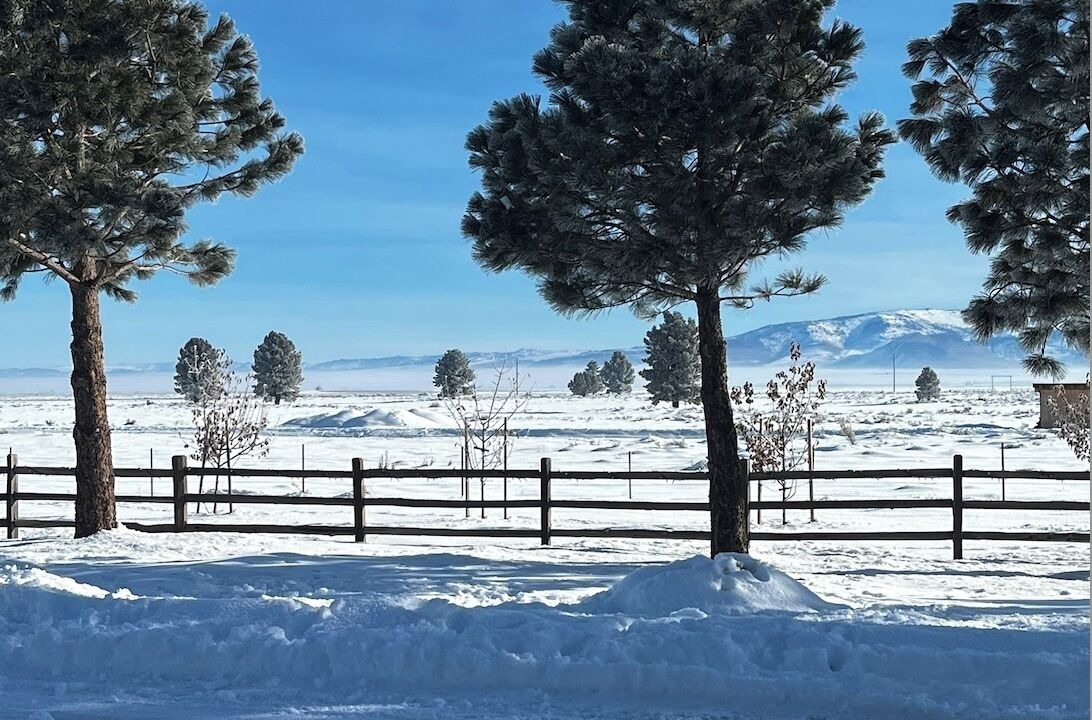 Photo of Others in Calpine