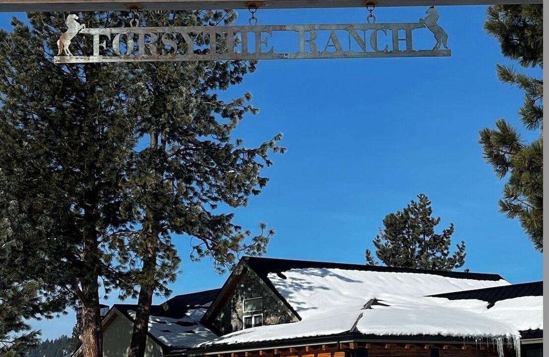 Photo of Outdoor in Calpine