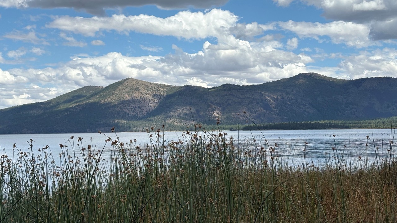 Photo of Others in Susanville