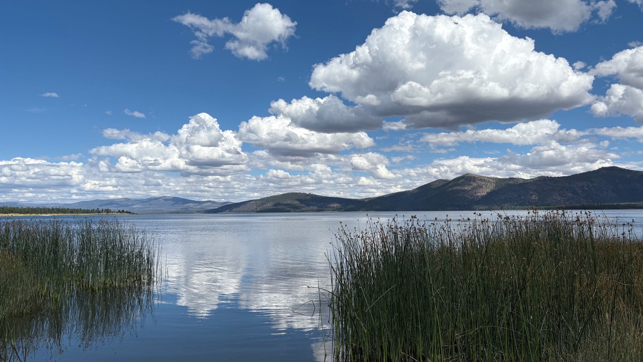 Photo of Others in Susanville