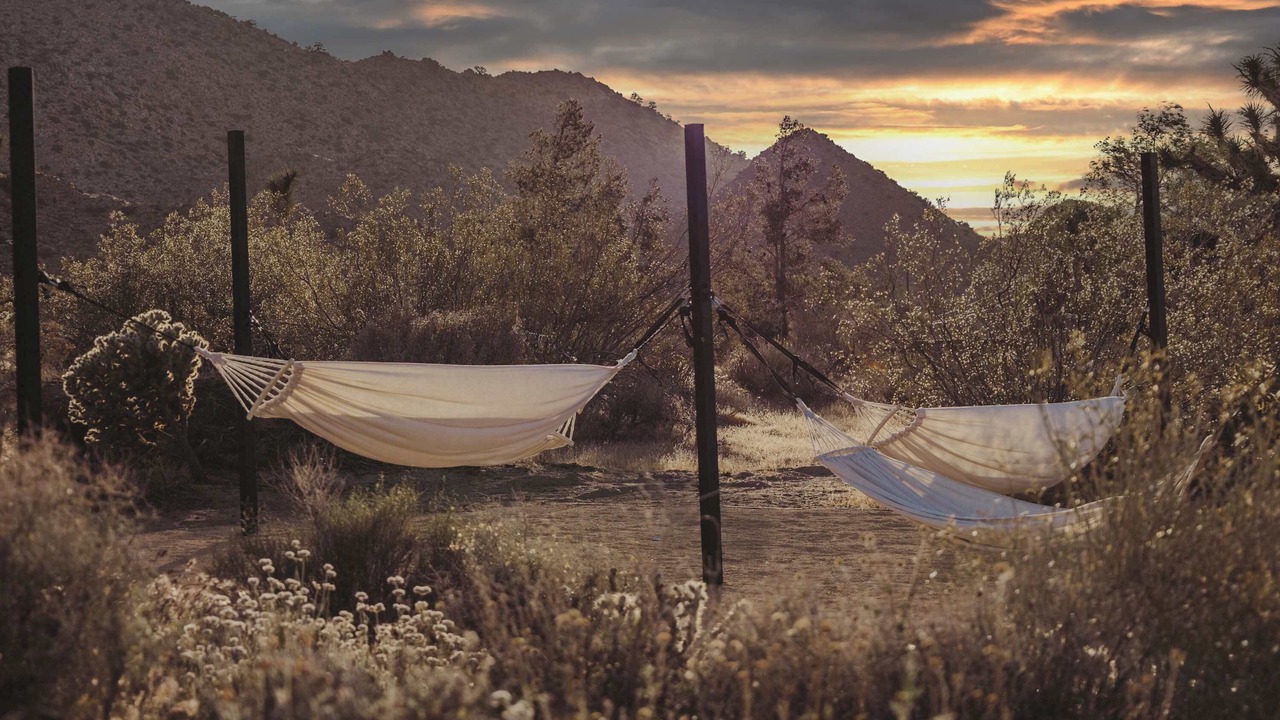 Photo of Others in Joshua Tree Highlands