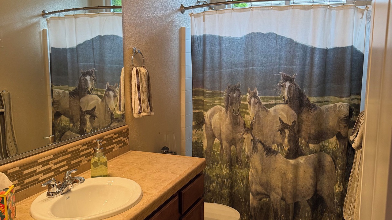 Photo of Bathroom in Sparks