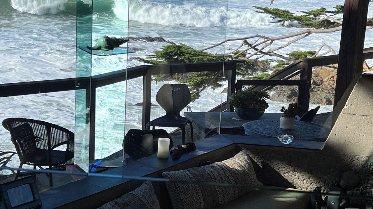 Photo of Outdoor in Marine Terrace