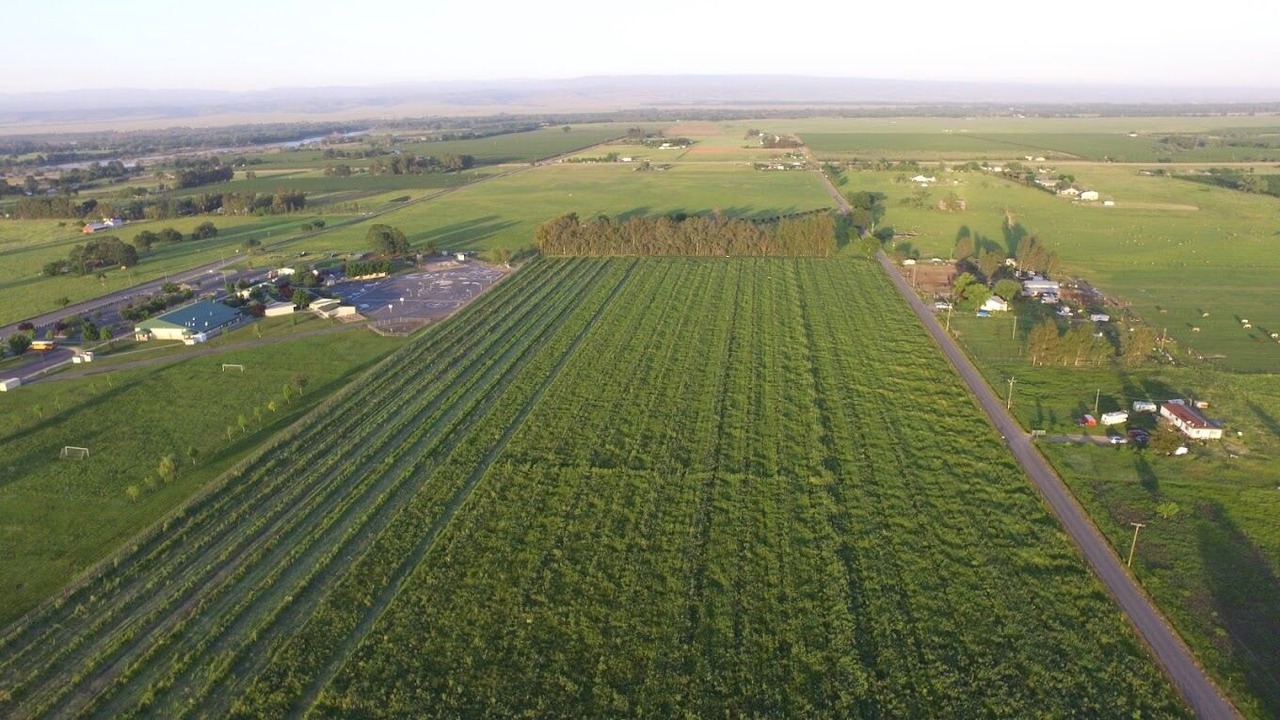 Photo of Outdoor in Flournoy