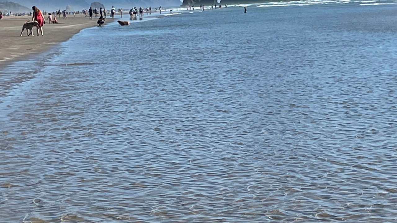 Photo of Others in Cannon Beach