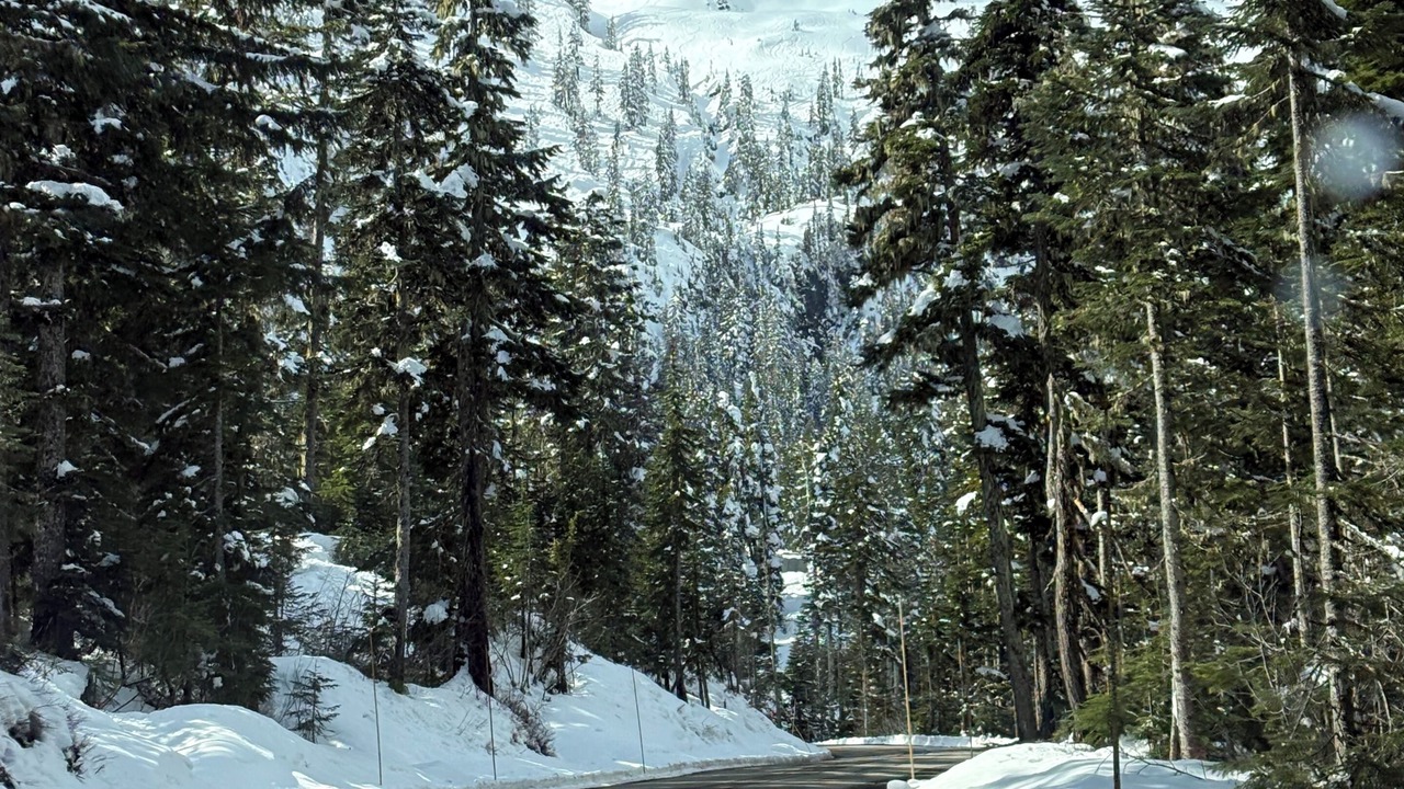 Photo of Others in Glacier