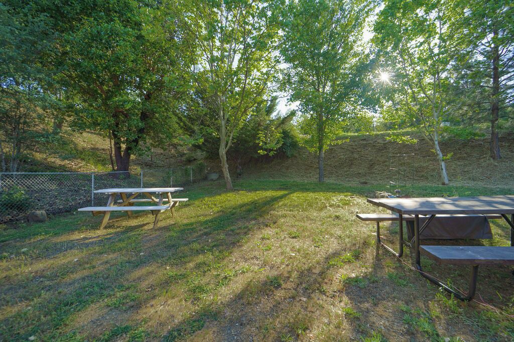 Photo of Outdoor in Weaverville