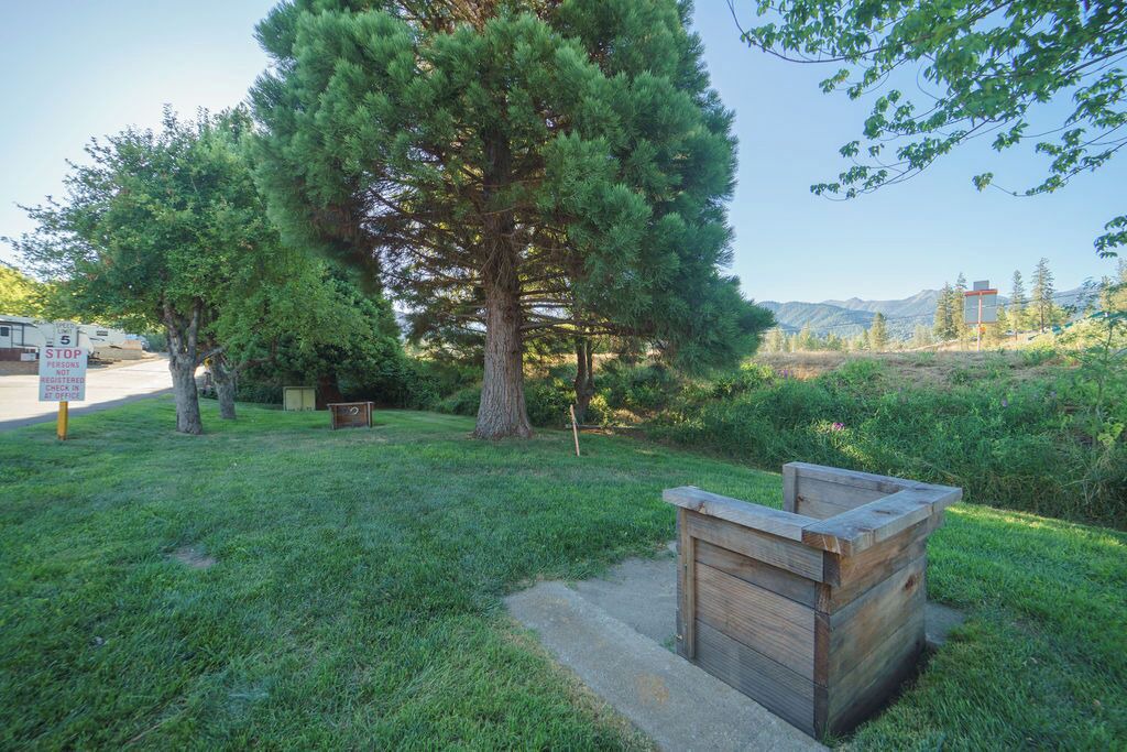Photo of Outdoor in Weaverville