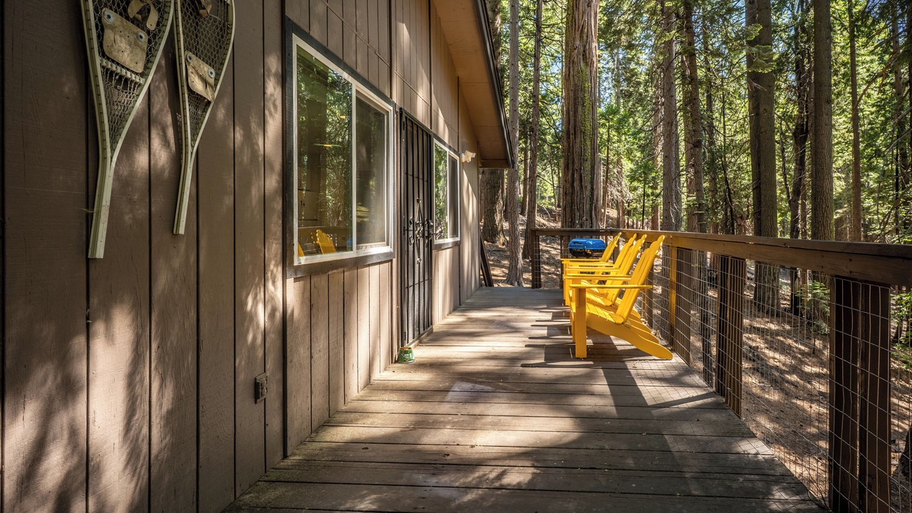 Photo of Patio Balcony in Dorrington