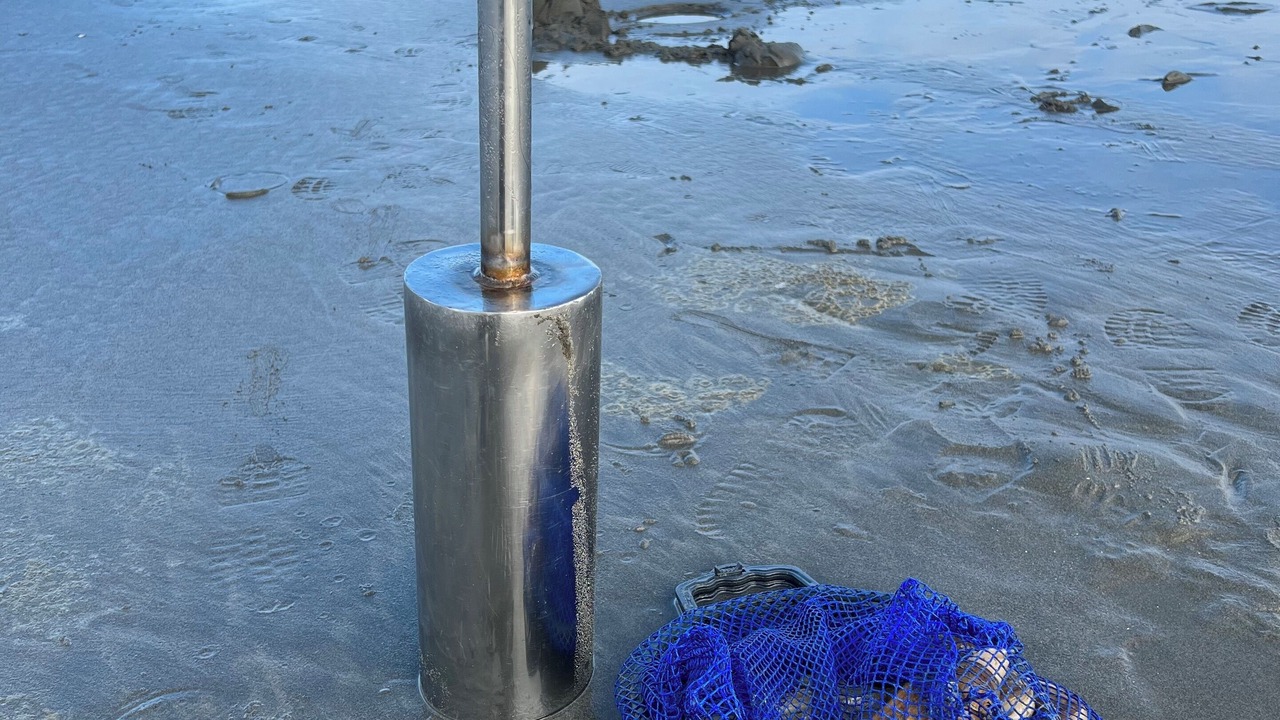 Photo of Others in Ocean Shores