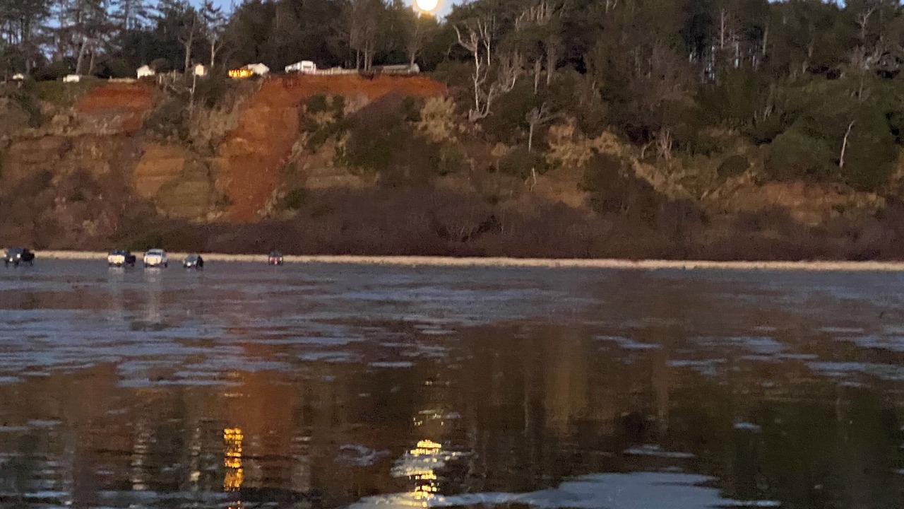 Photo of Others in Ocean Shores