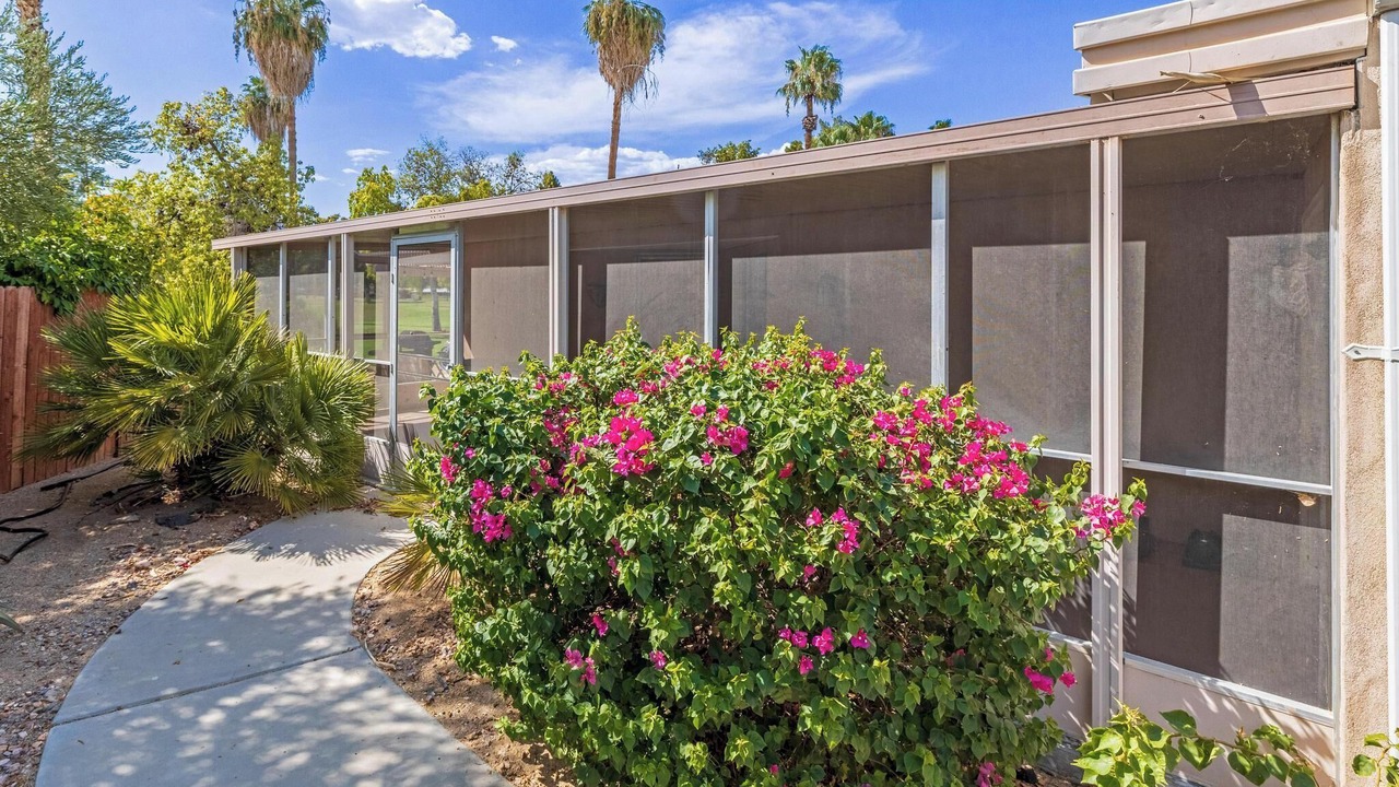 Photo of Outdoor in Borrego Springs