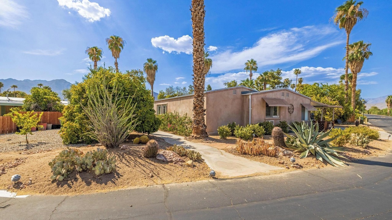 Photo of Outdoor in Borrego Springs