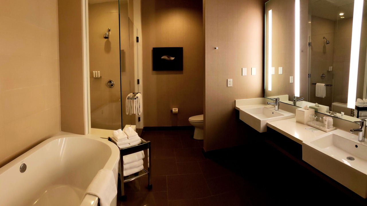 Photo of Bathroom in Las Vegas Strip