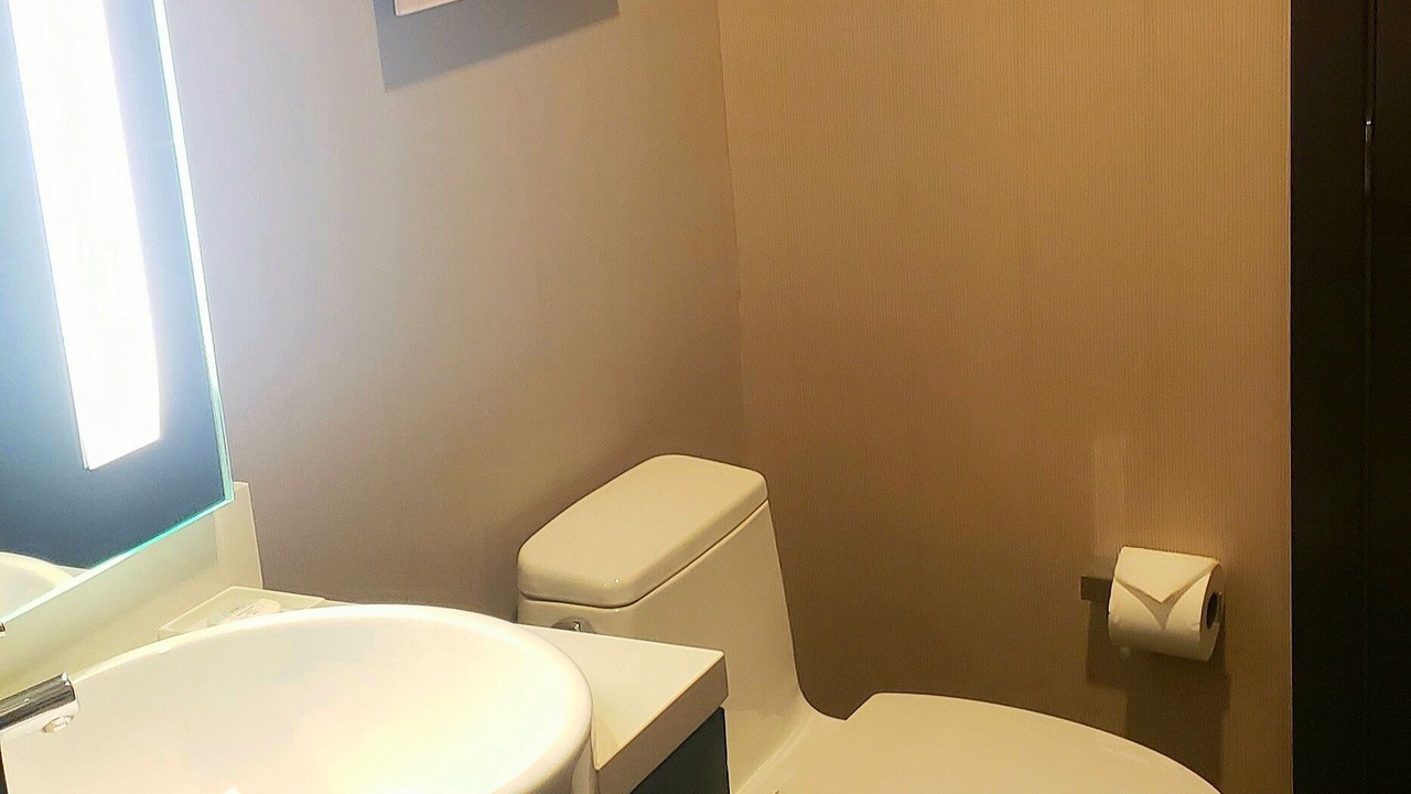 Photo of Bathroom in Las Vegas Strip