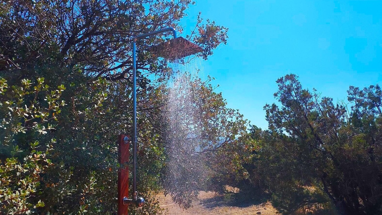 Photo of Outdoor in Pinyon Pines