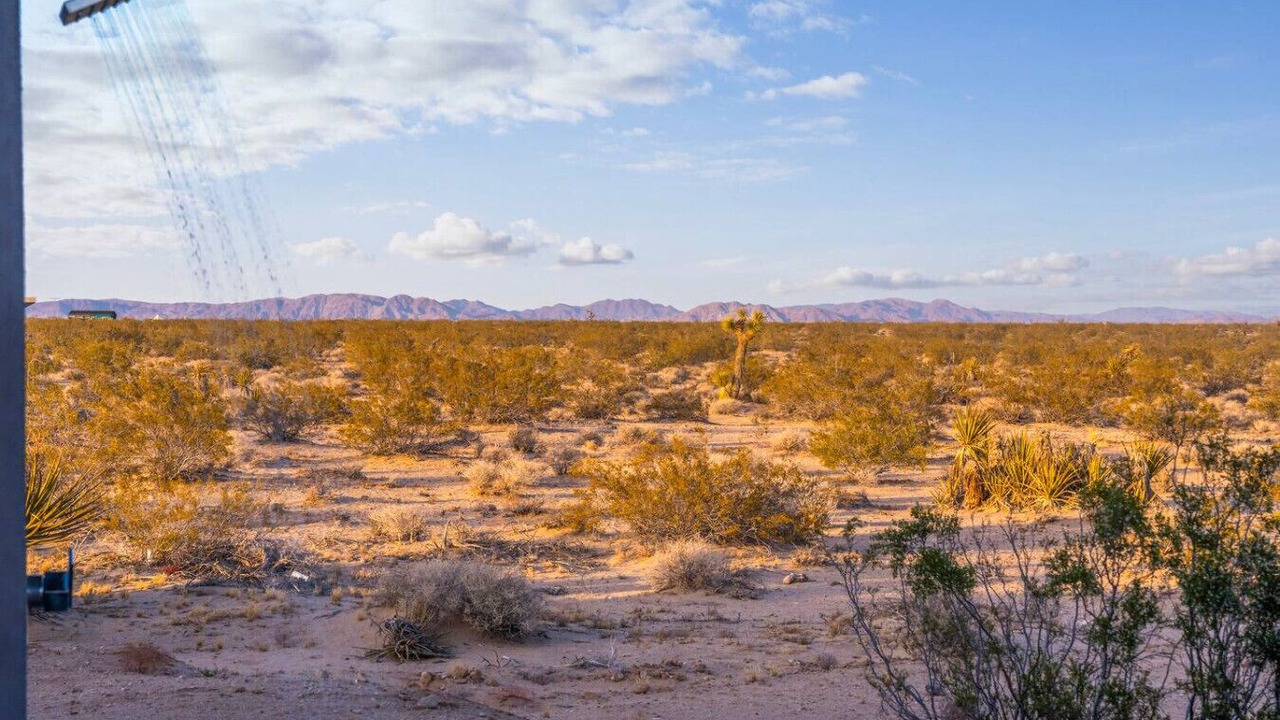 Photo of Others in Joshua Tree