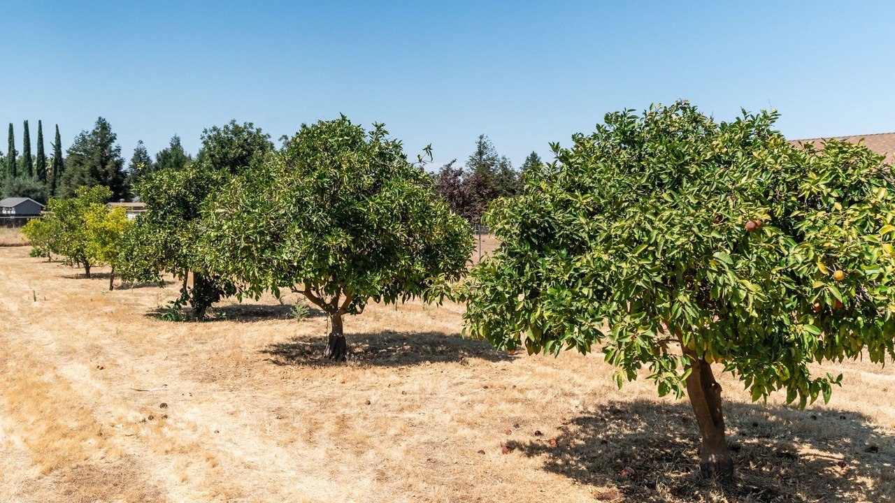 Photo of Others in Madera