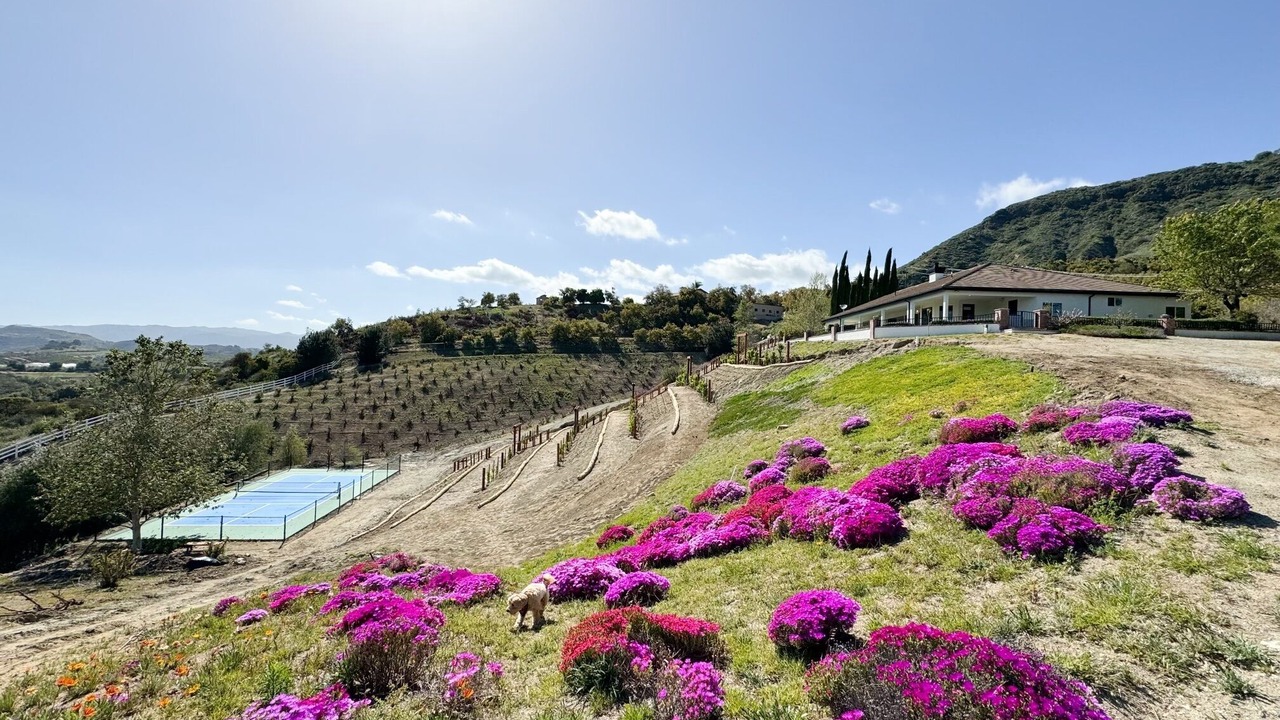 Photo of Outdoor in Temecula