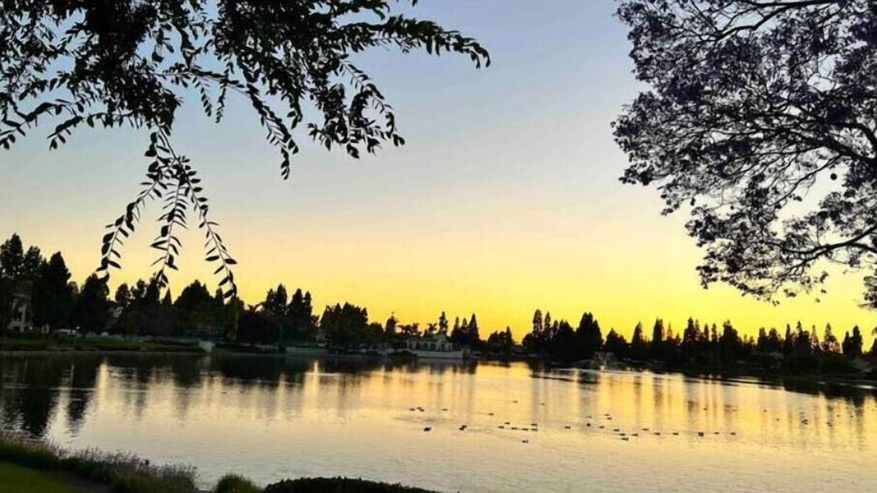 Photo of Outdoor in Eastlake