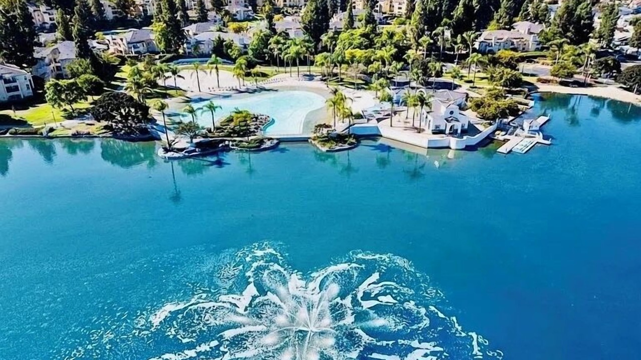 Photo of Outdoor in Eastlake