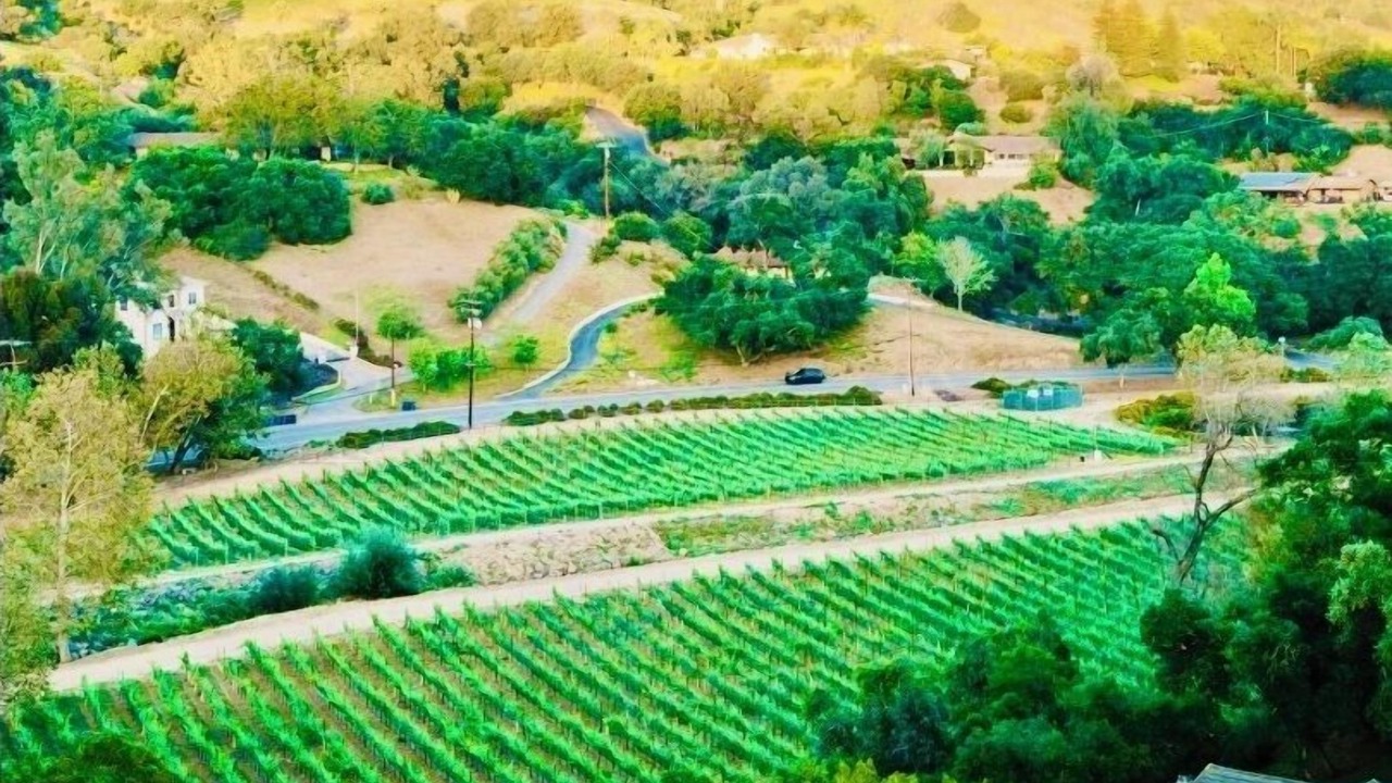 Photo of Others in Fallbrook
