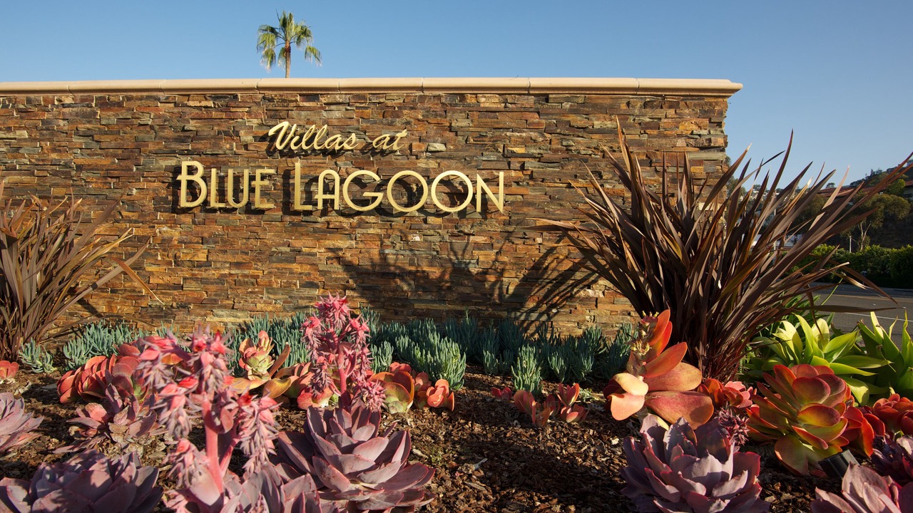 Photo of Others in Blue Lagoon