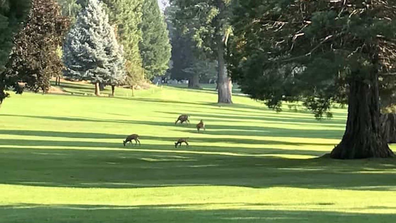 Photo of Others in Peninsula Village