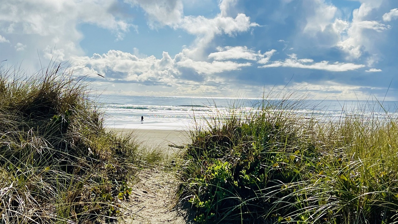 Photo of Others in Rockaway Beach
