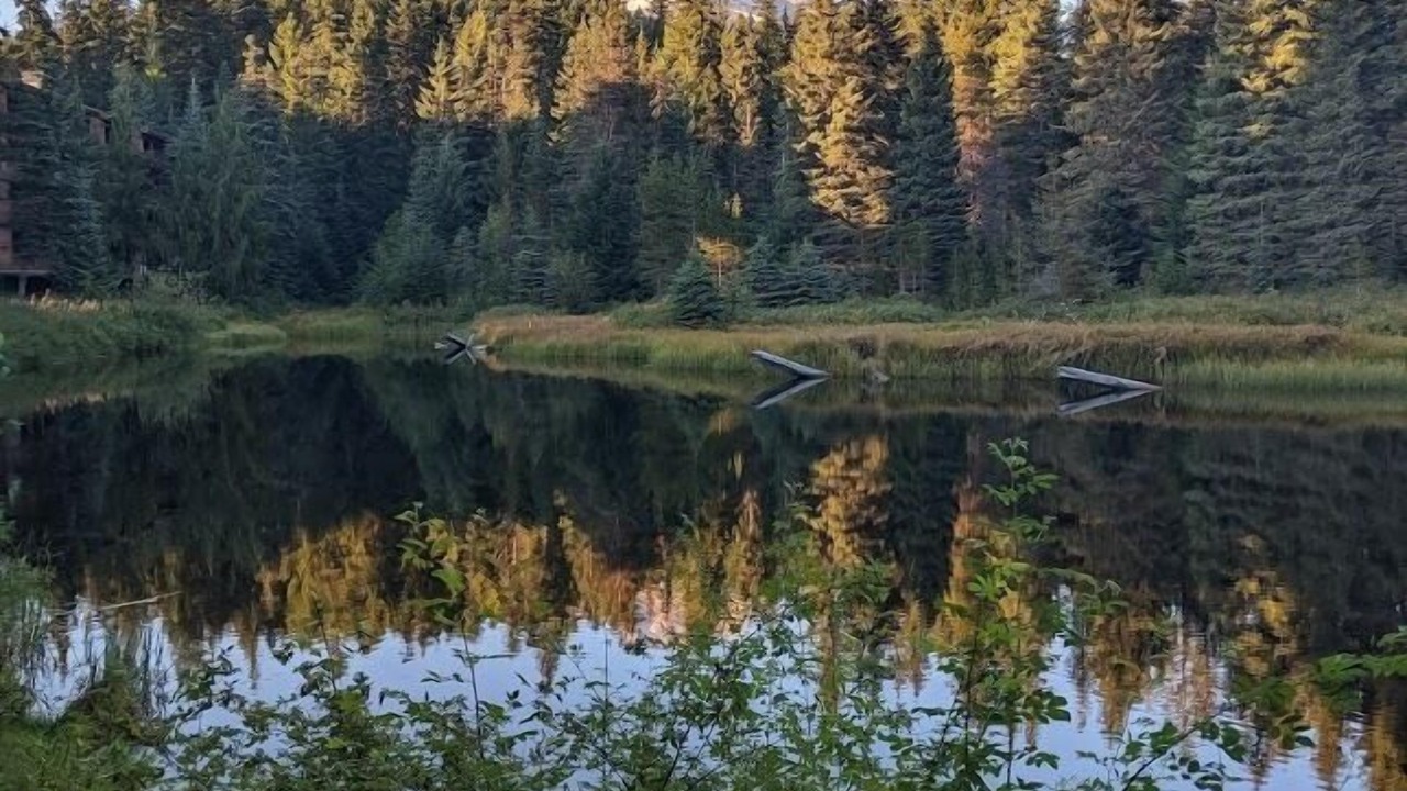 Photo of Outdoor in Government Camp
