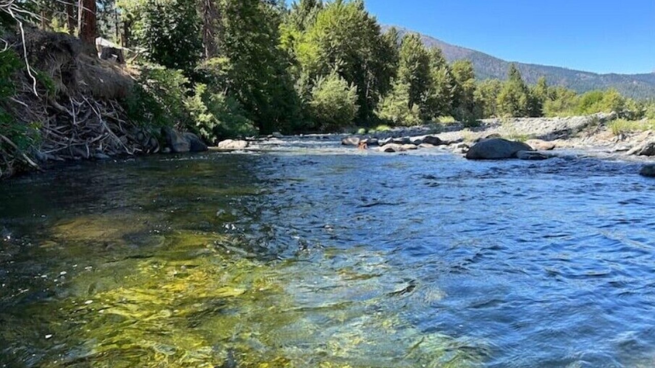 Photo of Others in Coffee Creek