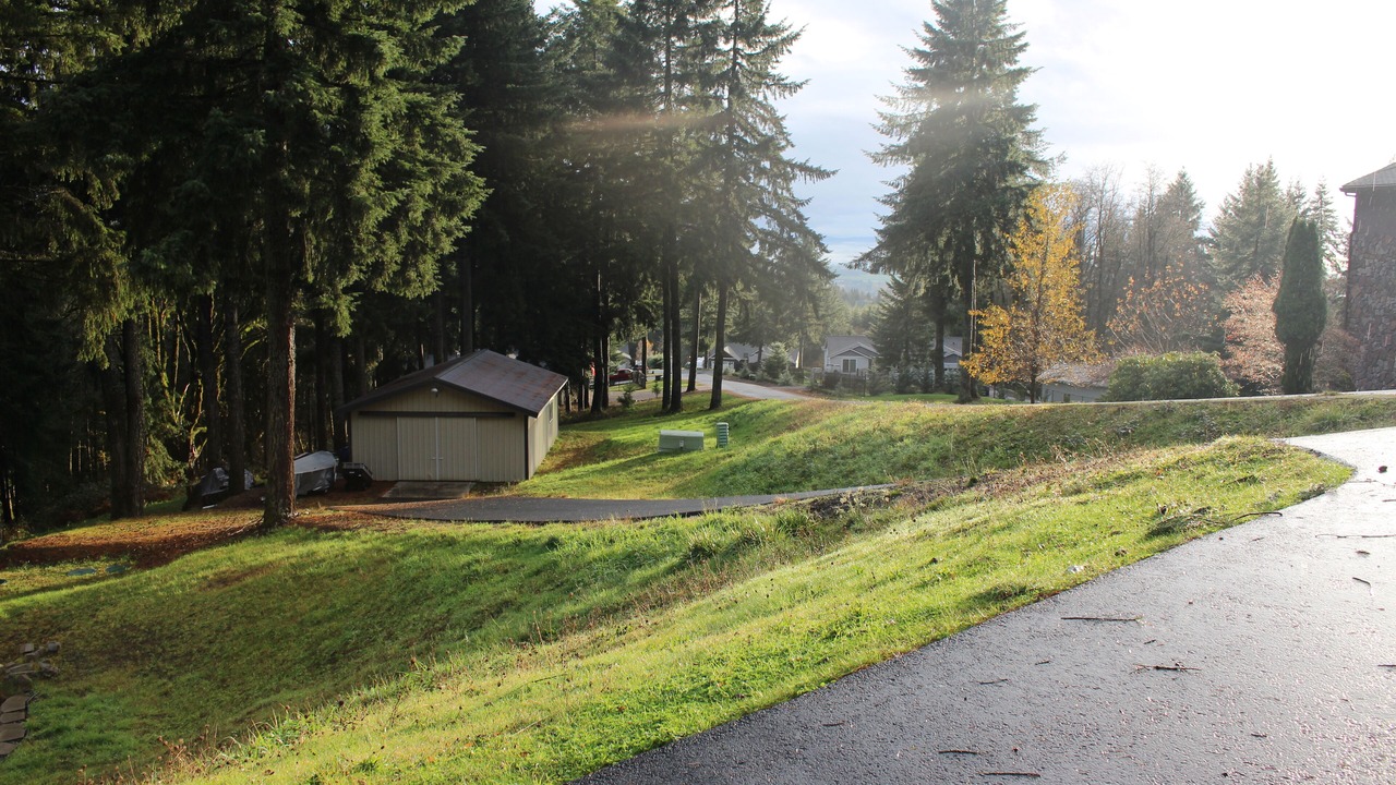 Photo of Outdoor in Woodland