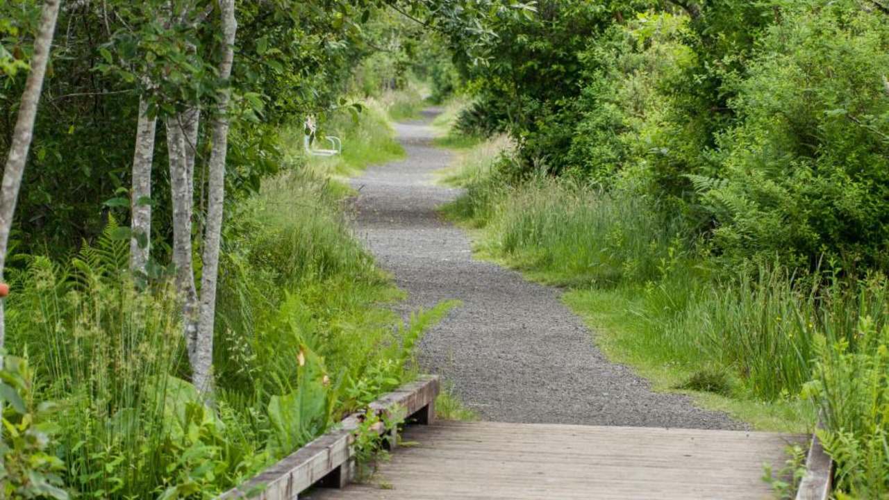 Photo of Outdoor in Woodland