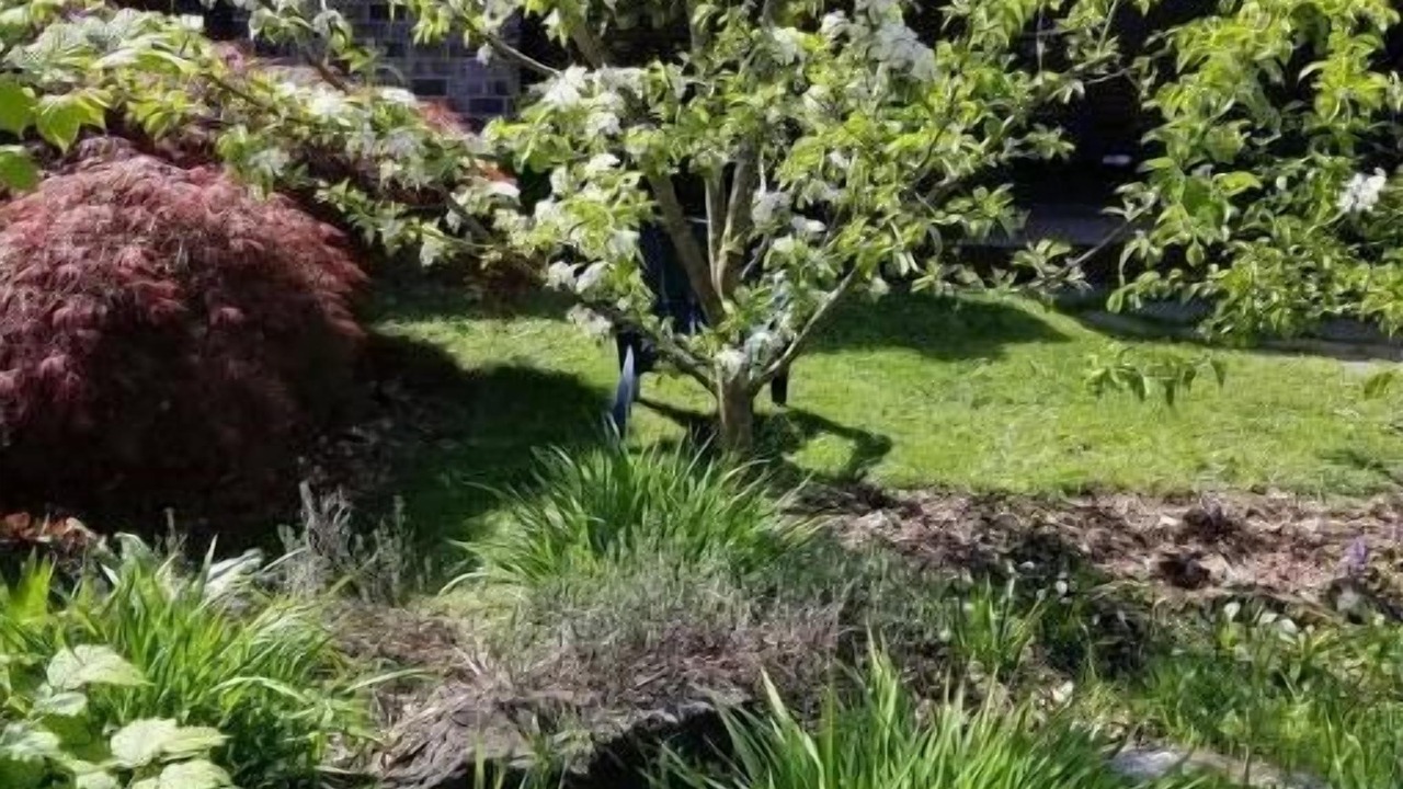 Photo of Outdoor in Sherwood - Tualatin South