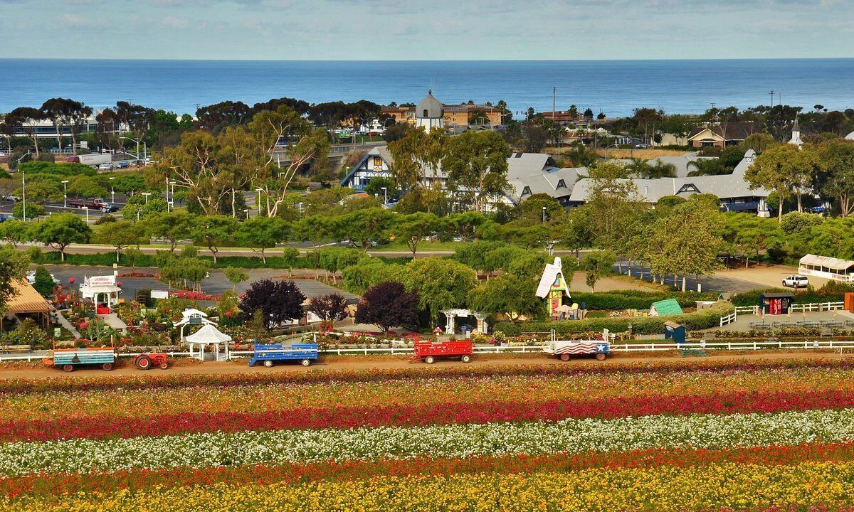 Photo of Outdoor in Carlsbad