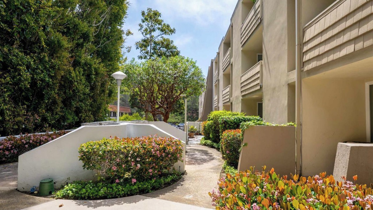 Photo of Outdoor in La Jolla Shores