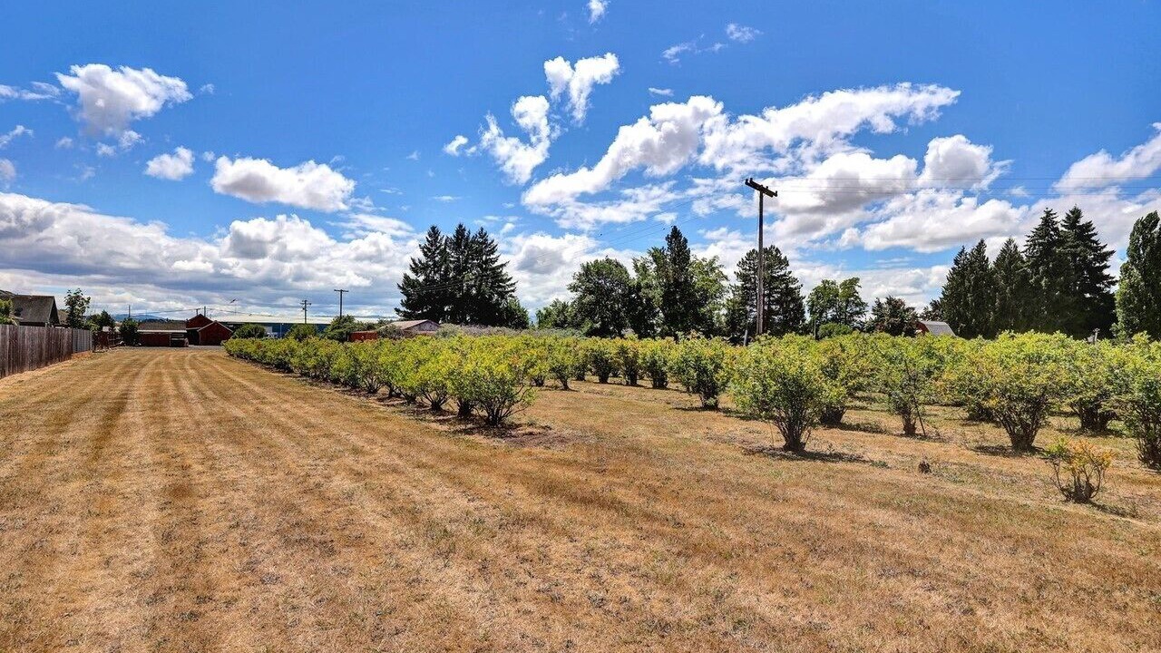 Photo of Outdoor in Sheridan
