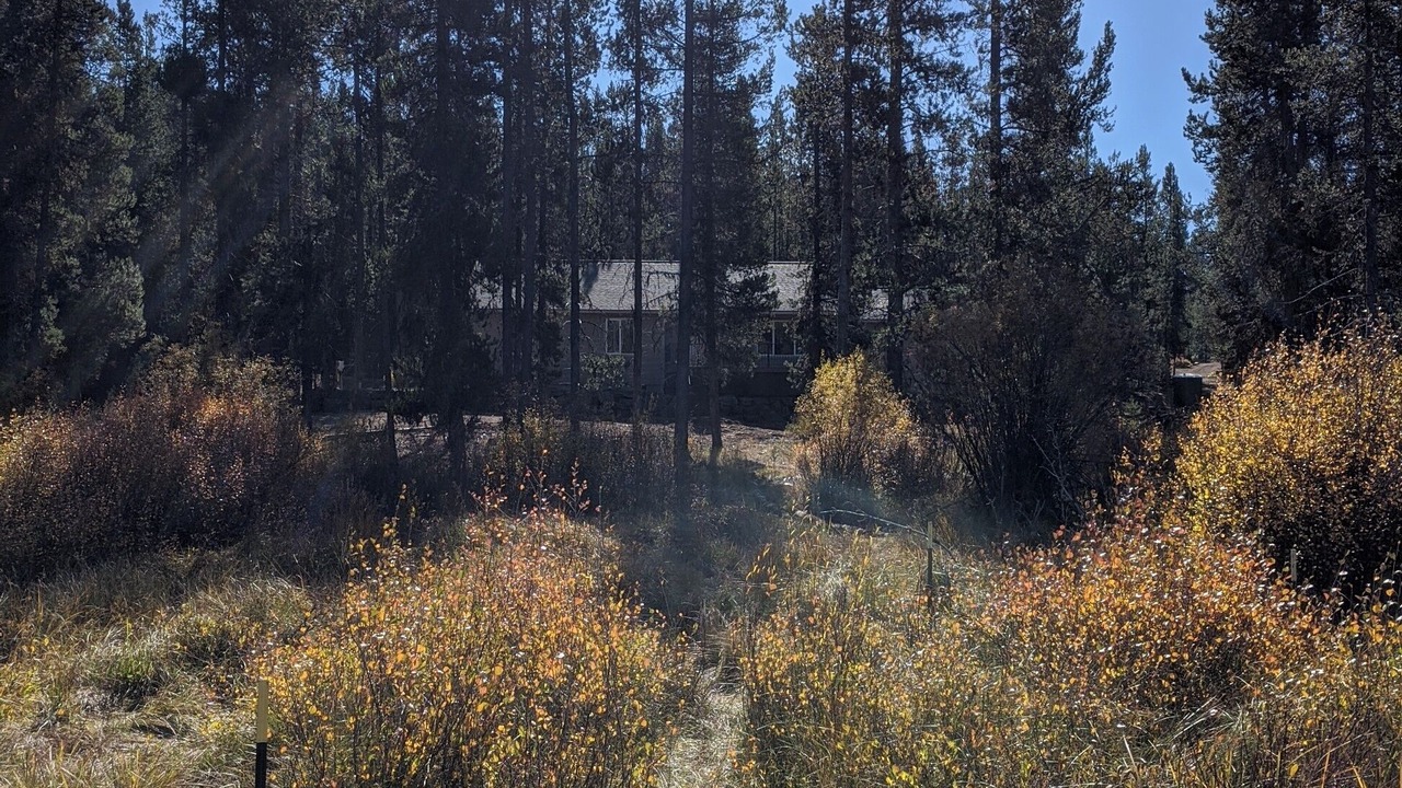 Photo of Others in Crescent