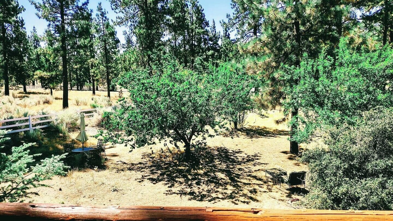 Photo of Outdoor in Mountain Center