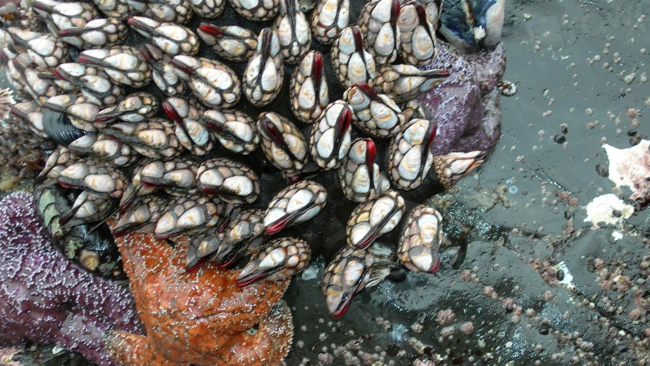 Photo of Others in Lincoln City