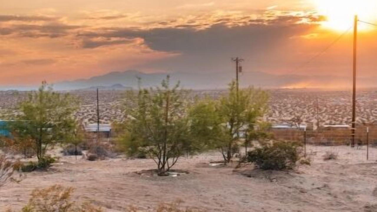 Photo of Others in Joshua Tree