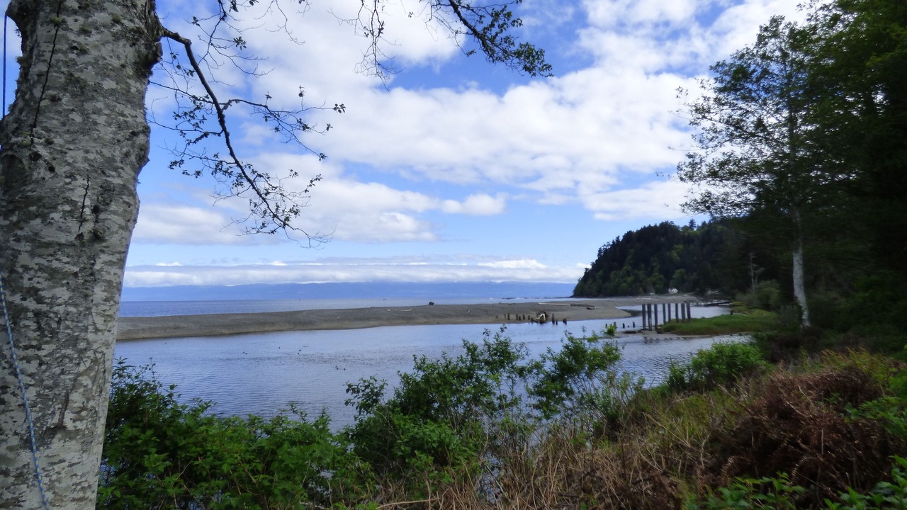 Photo of Others in Clallam Bay