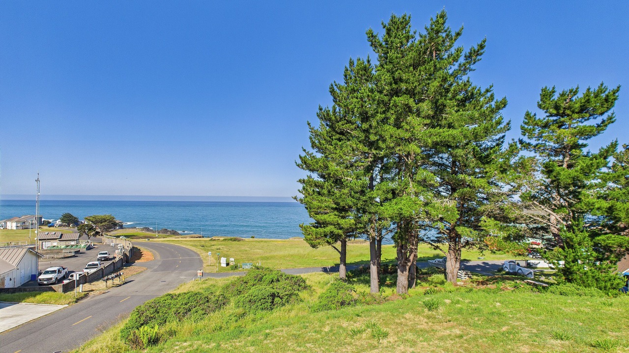 Photo of Others in Shelter Cove