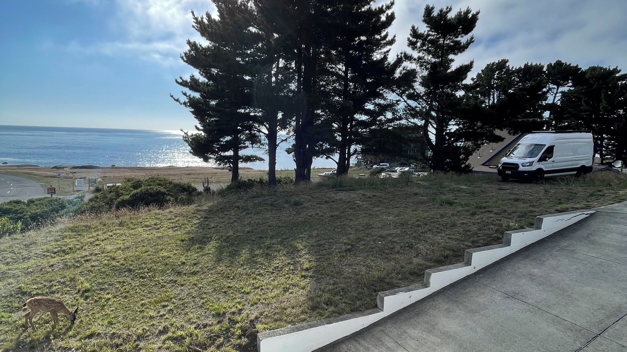 Photo of Outdoor in Shelter Cove