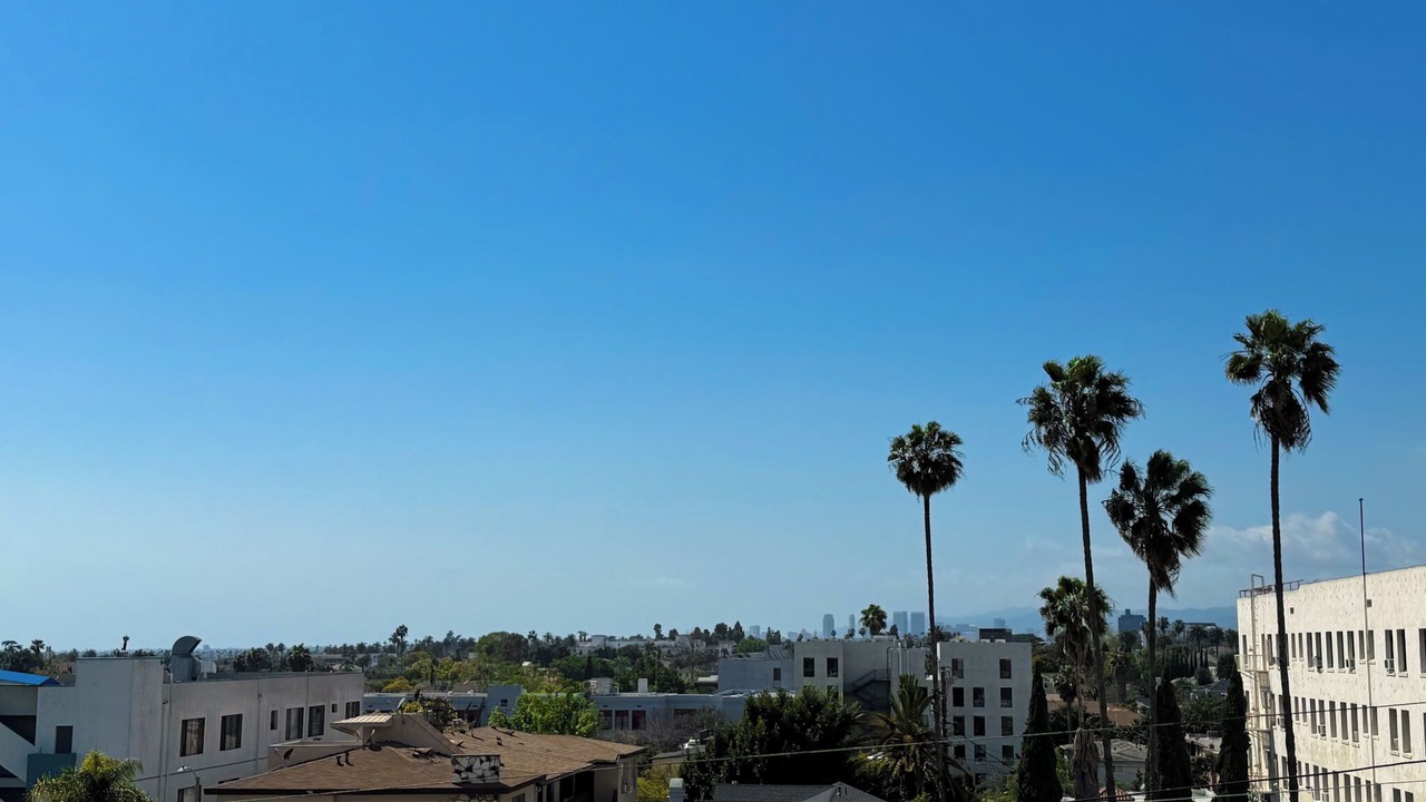 Photo of Others in Wilshire