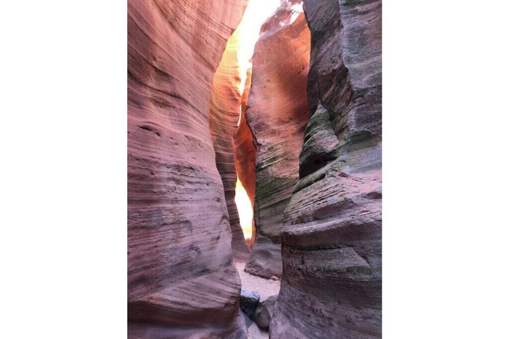 Photo of Others in Zion National Park East Entrance