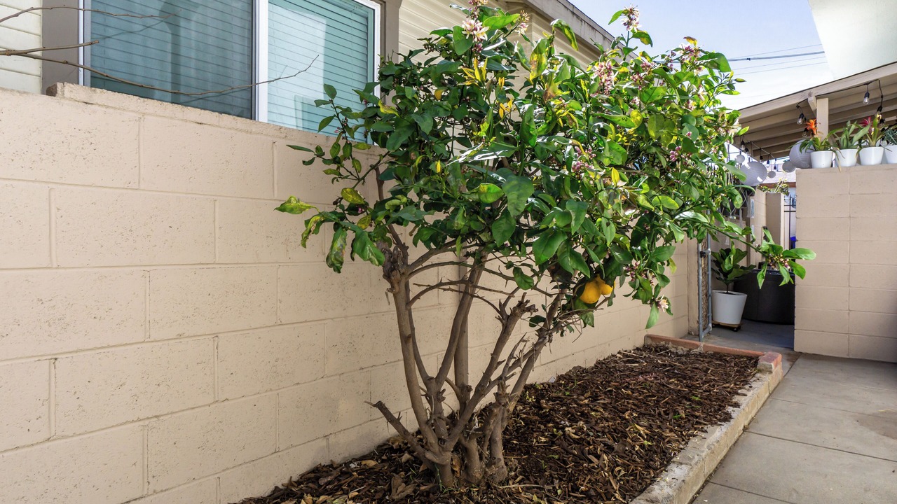Photo of Outdoor in Mid-City